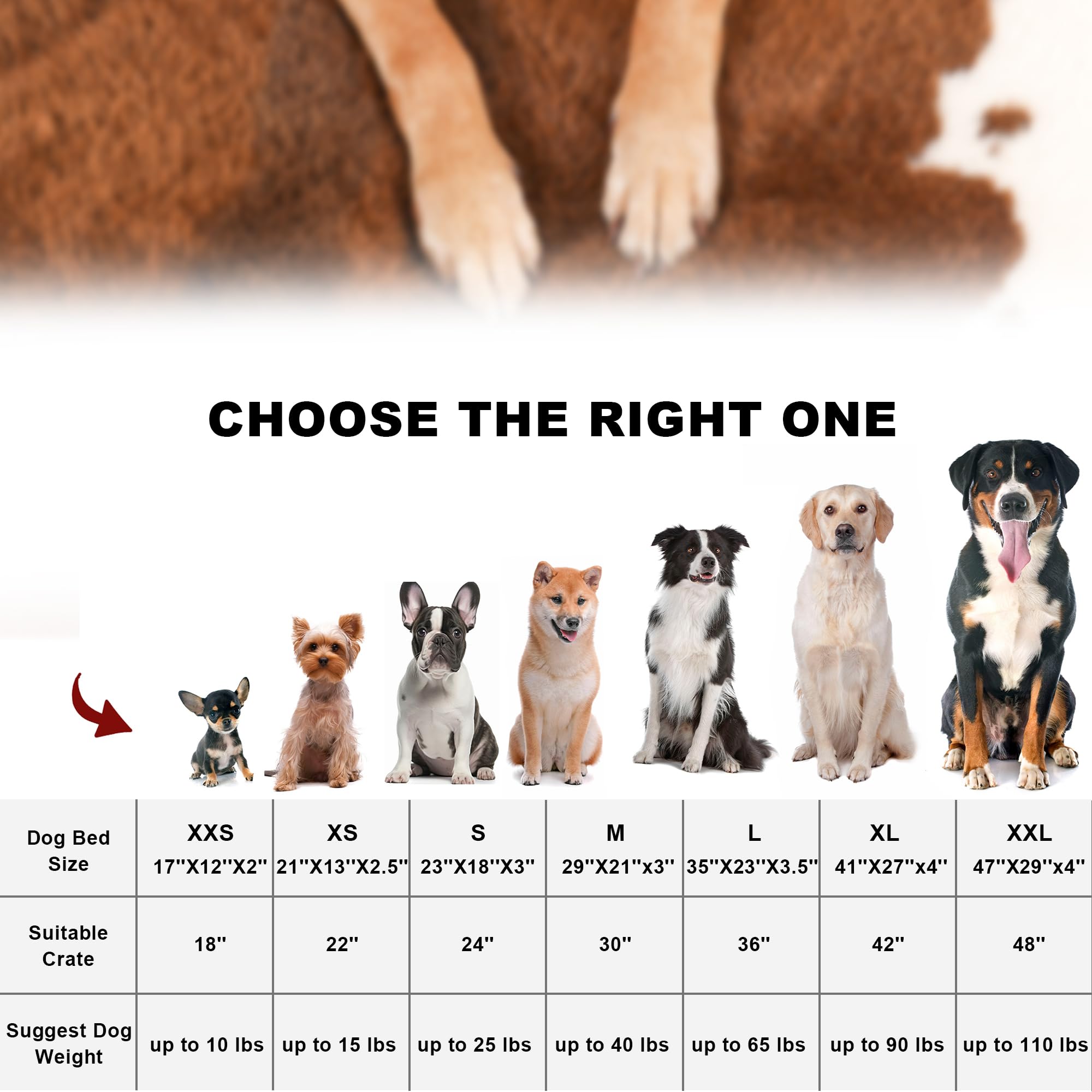 Bedfolks waterproof crate bed dog-resting highlights a soft surface for restful naps.