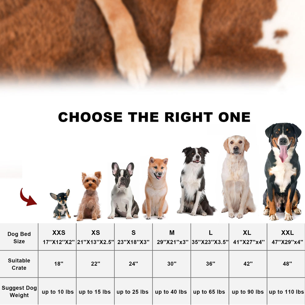 Bedfolks waterproof crate bed dog-resting highlights a soft surface for restful naps.