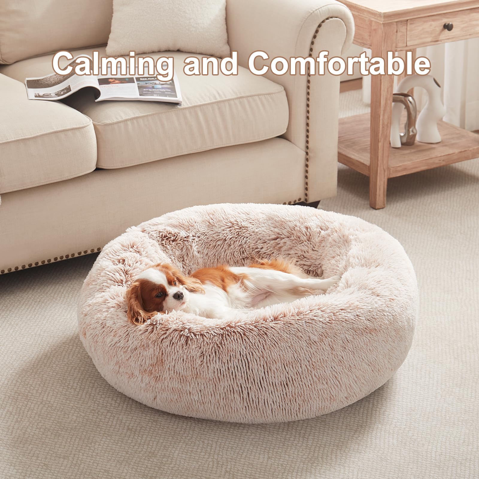 BedStill donut bed raised sides offer calming security during rest.