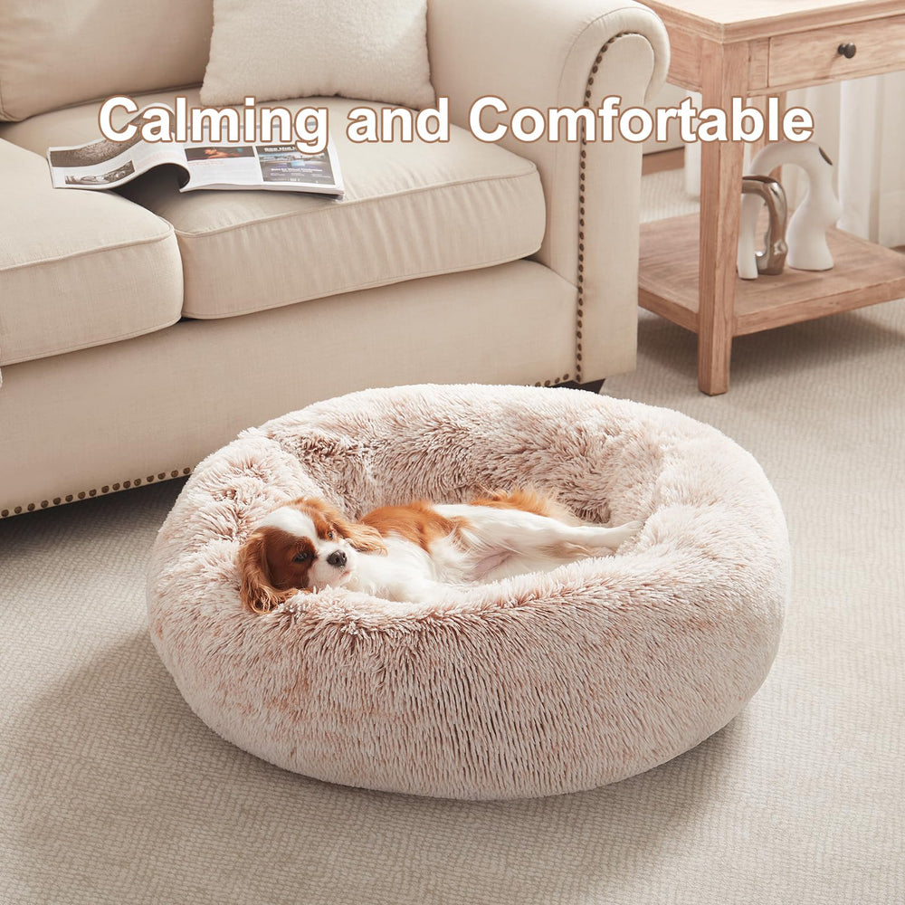 BedStill donut bed raised sides offer calming security during rest.