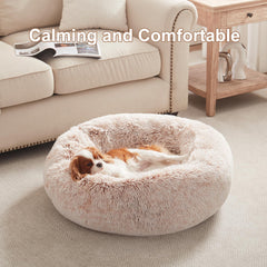BedStill donut bed raised sides offer calming security during rest.