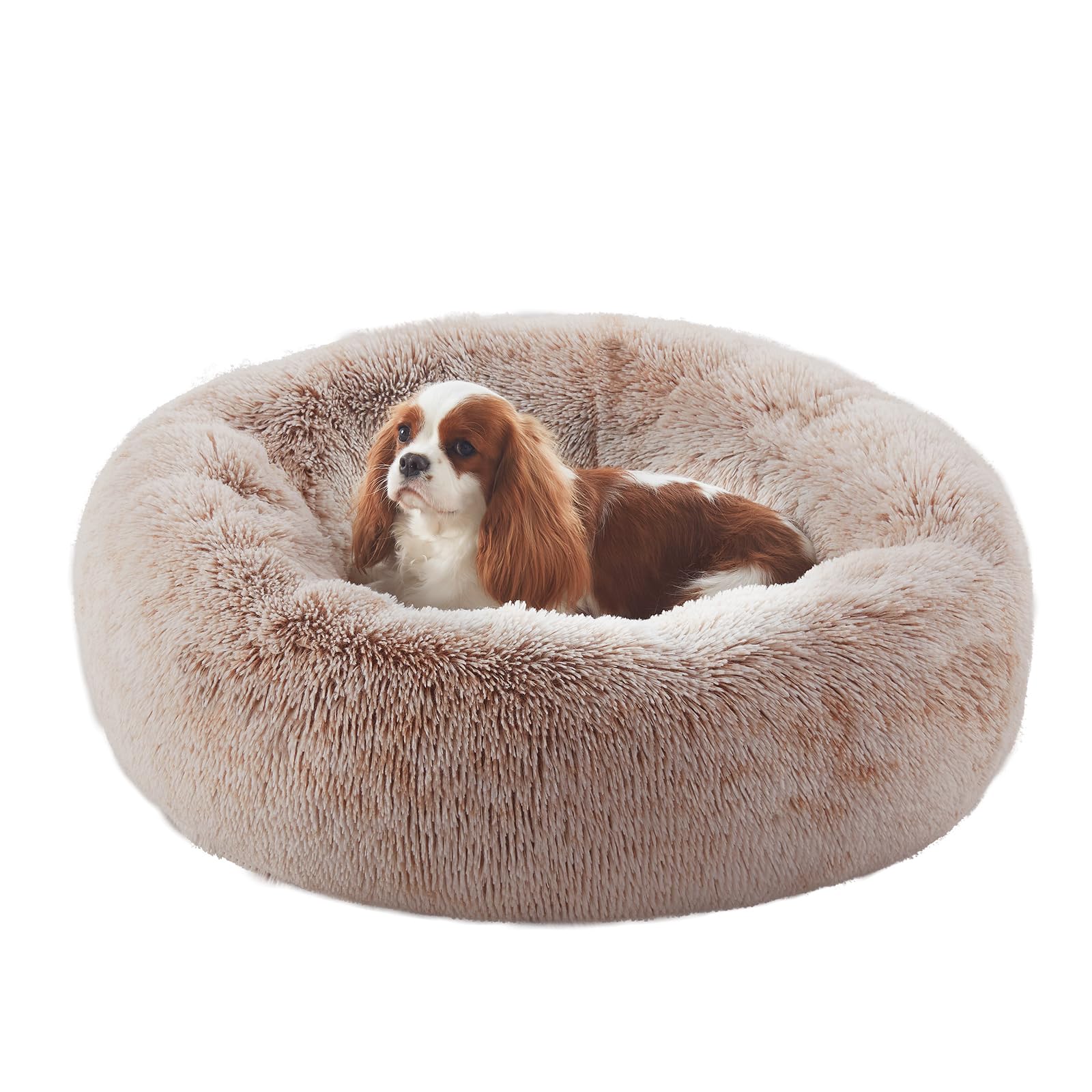 BedStill donut dog bed 30in provides a snug retreat for medium dogs.