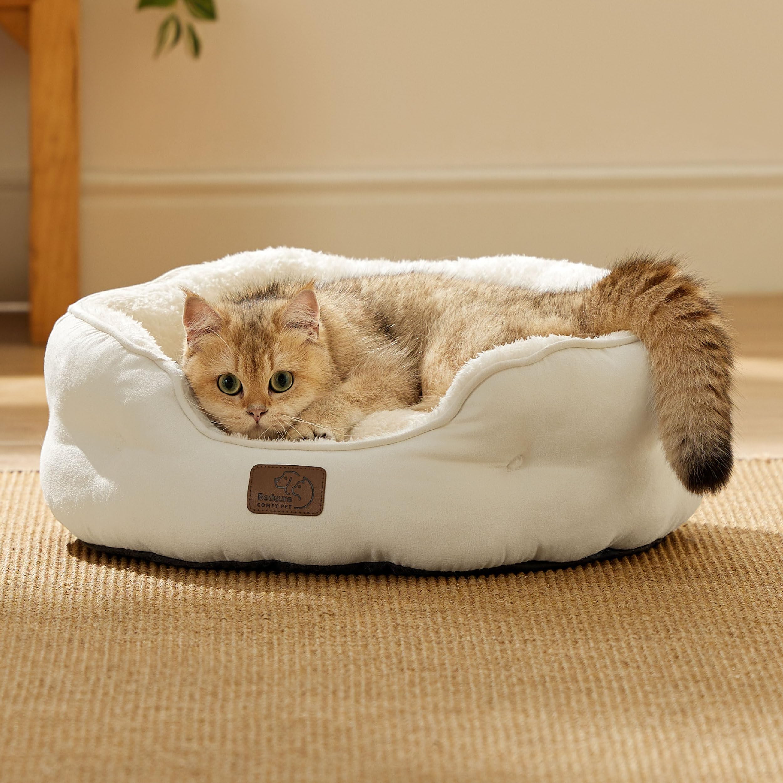 Bedsure 20 inch round bed ideal for small dogs and indoor cats.