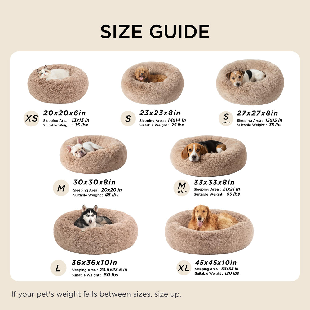 Bedsure Calming Donut Dog Bed medium size demonstrates fit for pets up to 45 lbs.