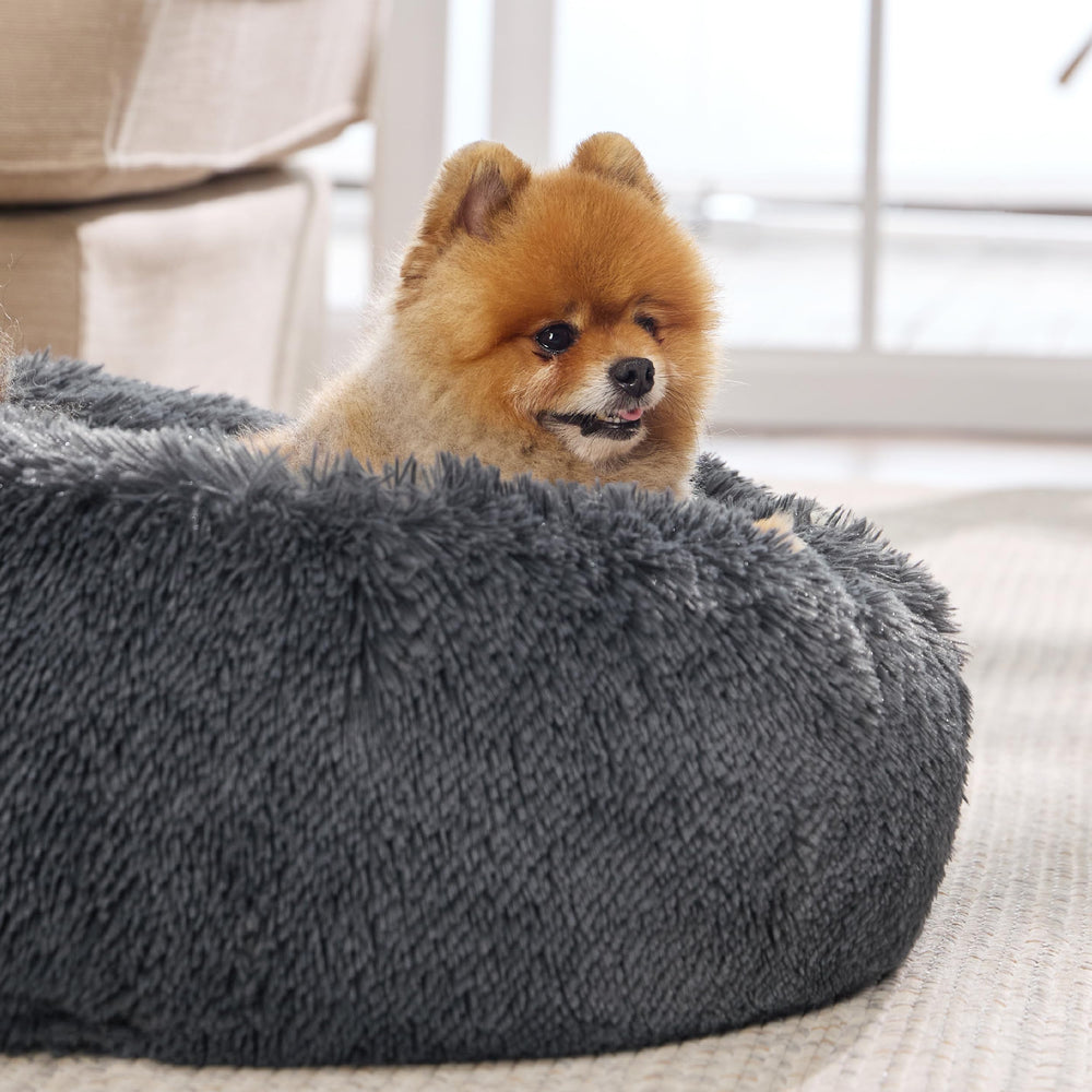 Bedsure calming donut dog bed non-slip base—stable placement during play and rest