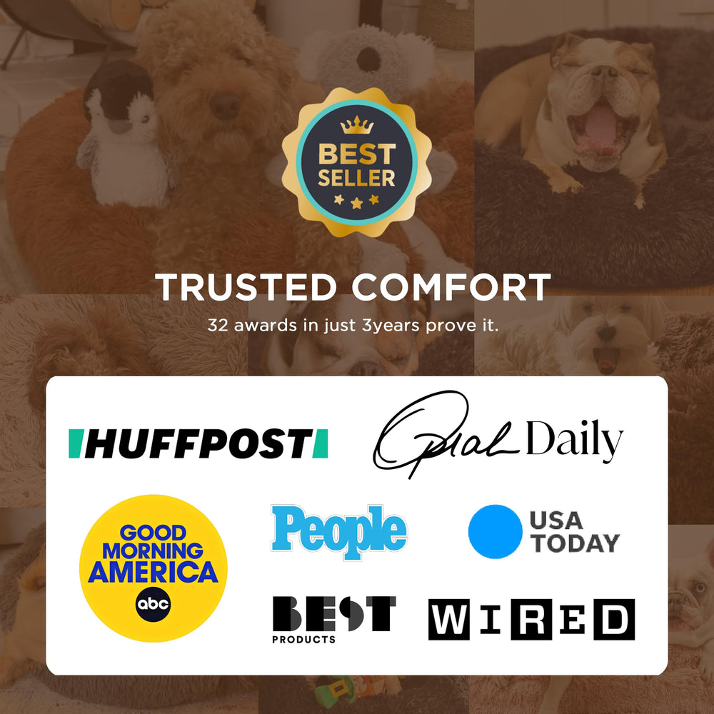 Bedsure cat bed donut design soft plush fur for secure resting