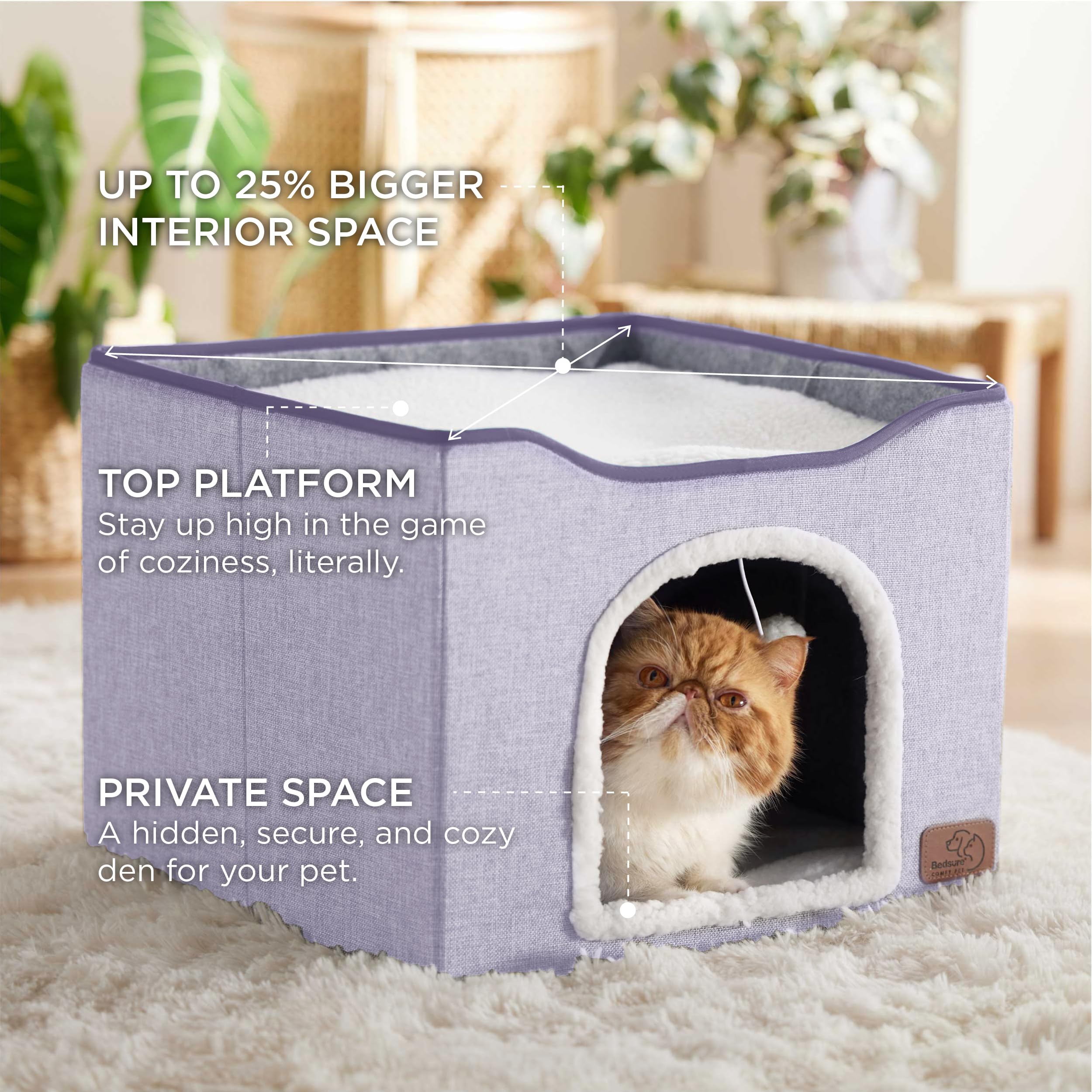 Bedsure cat beds top platform spacious view highlights elevated lounging and window watching.