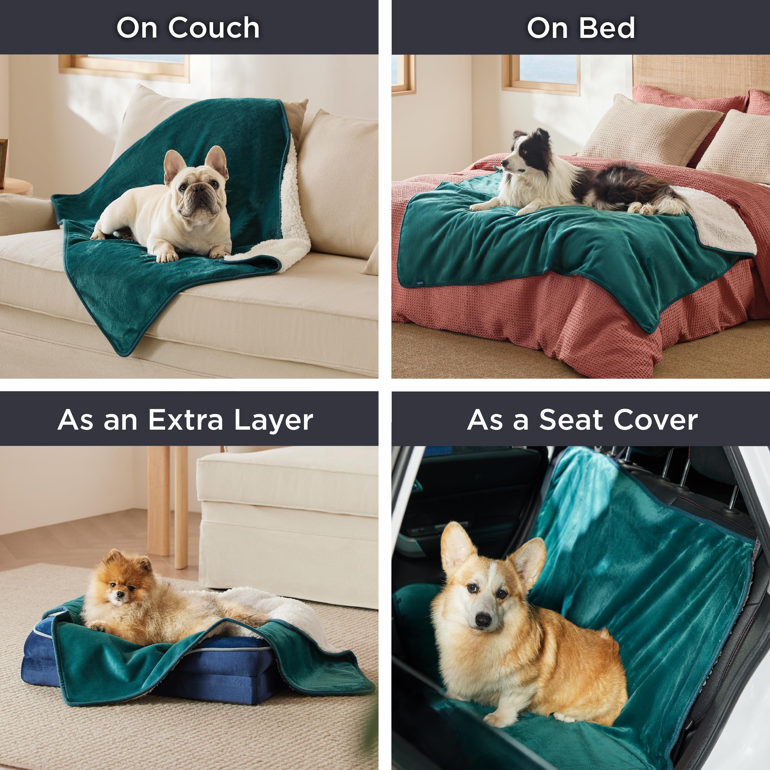 Bedsure cat blanket couch-protection guards furniture from spills and pet hair.