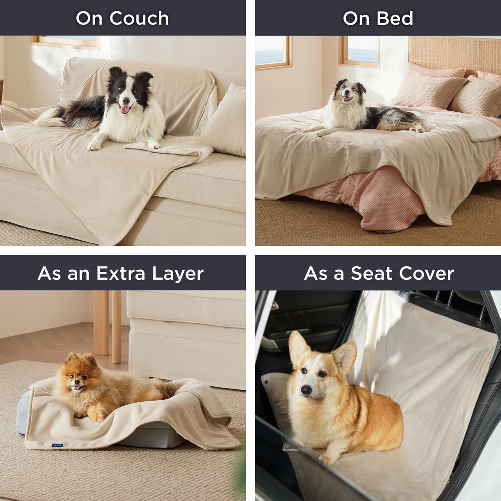 bedsure cat blanket protects couch from pet hair and stains