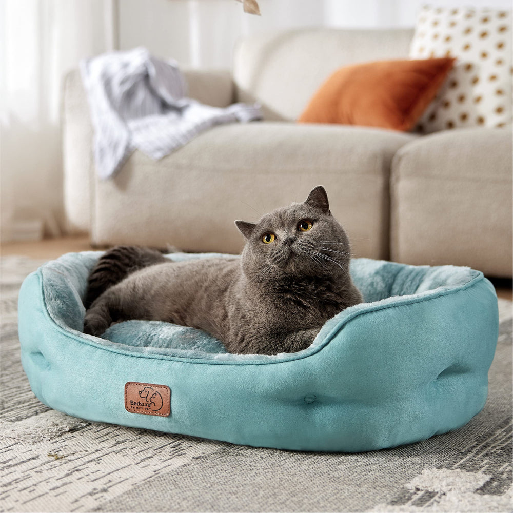 Bedsure cat round bed with bolster ideal for curling up in warmth.