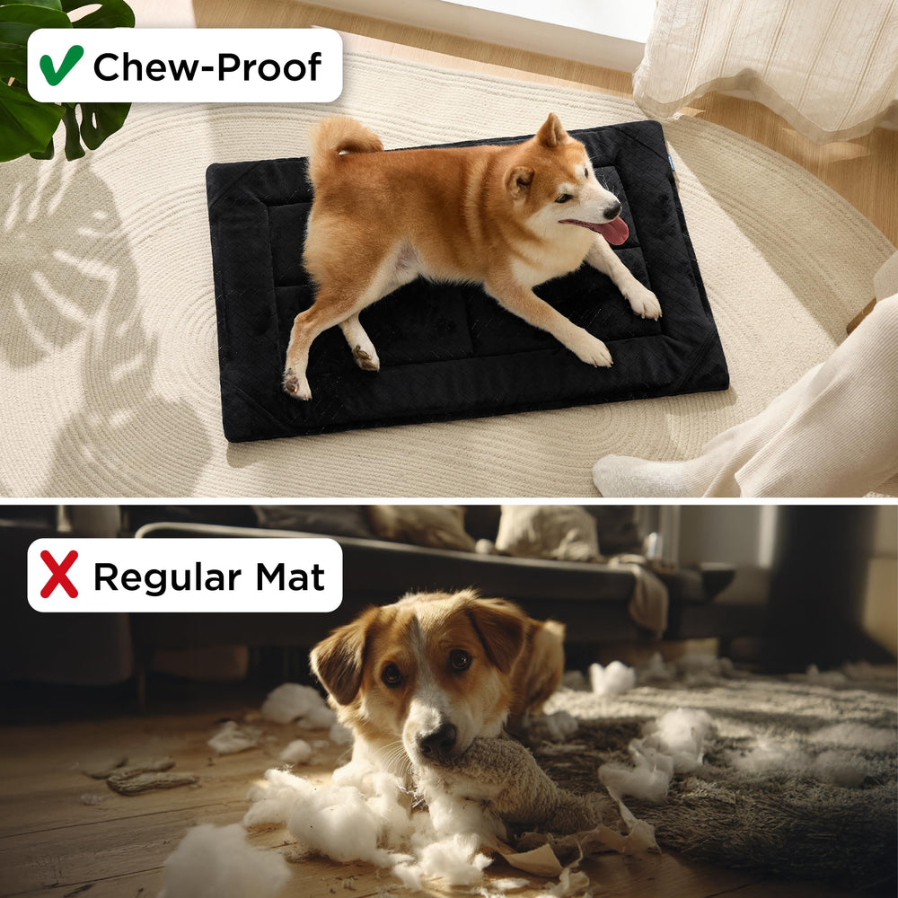 Bedsure chew-proof dog bed machine-washable tag enables easy cleaning after playtime.
