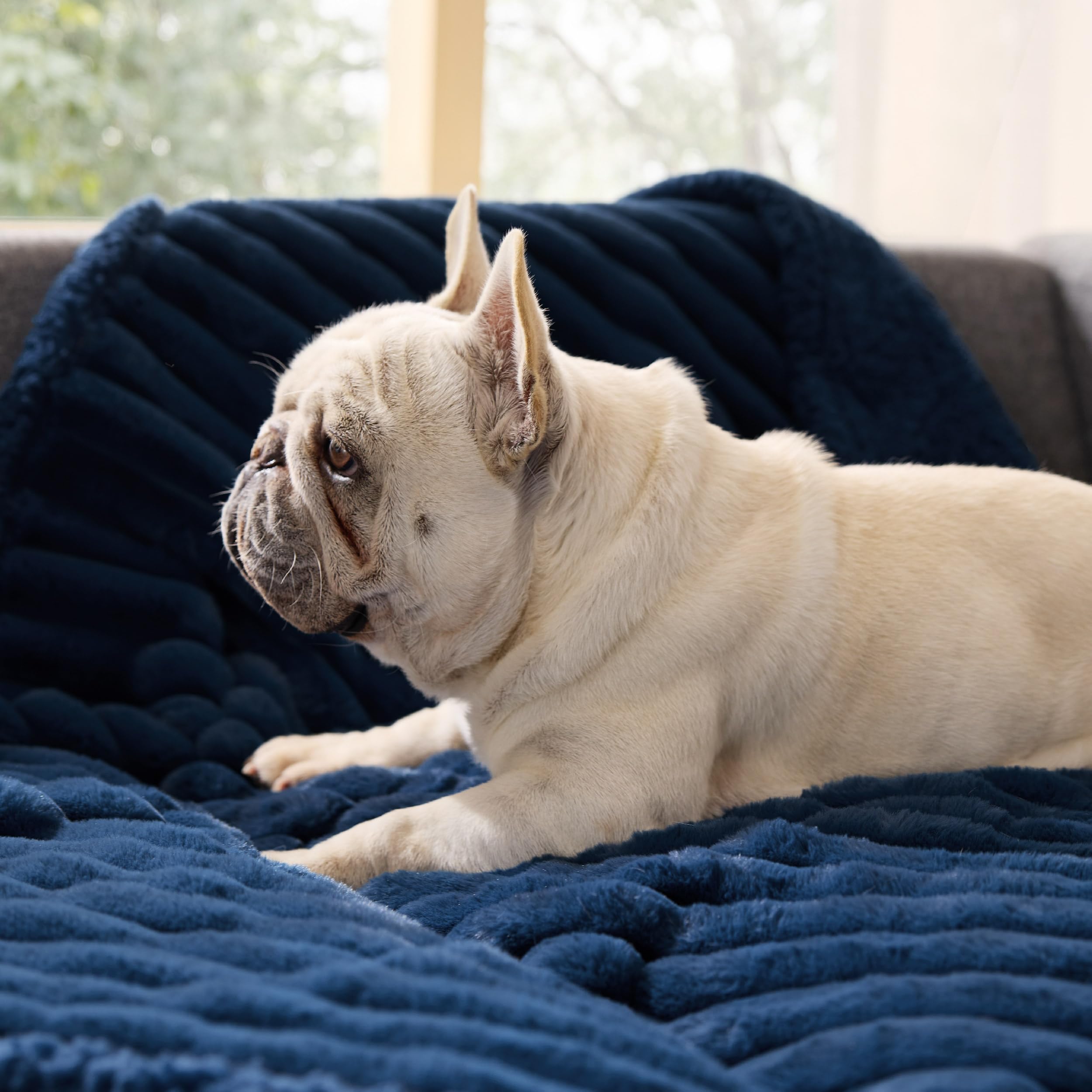 Bedsure navy corduroy-fleece blanket complements décor while guarding upholstery