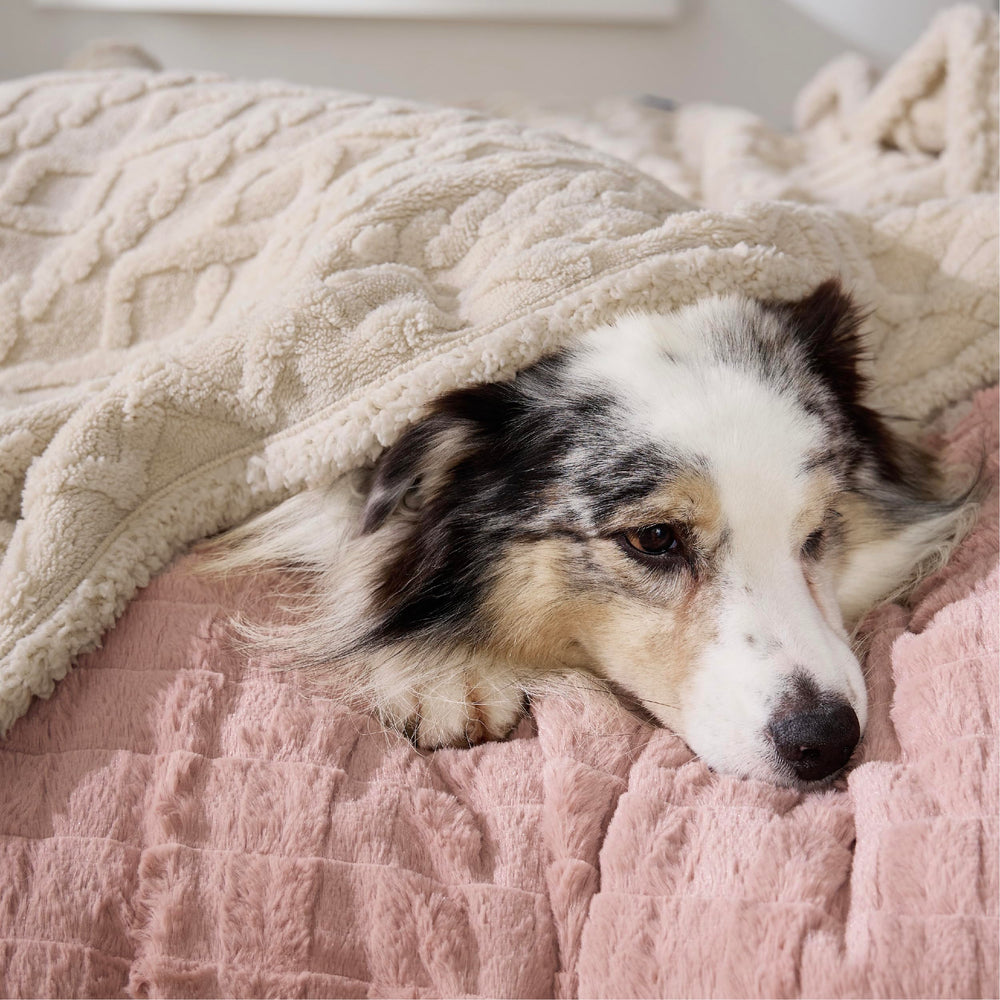 Bedsure couch-protection blanket in cream shielding furniture from pets