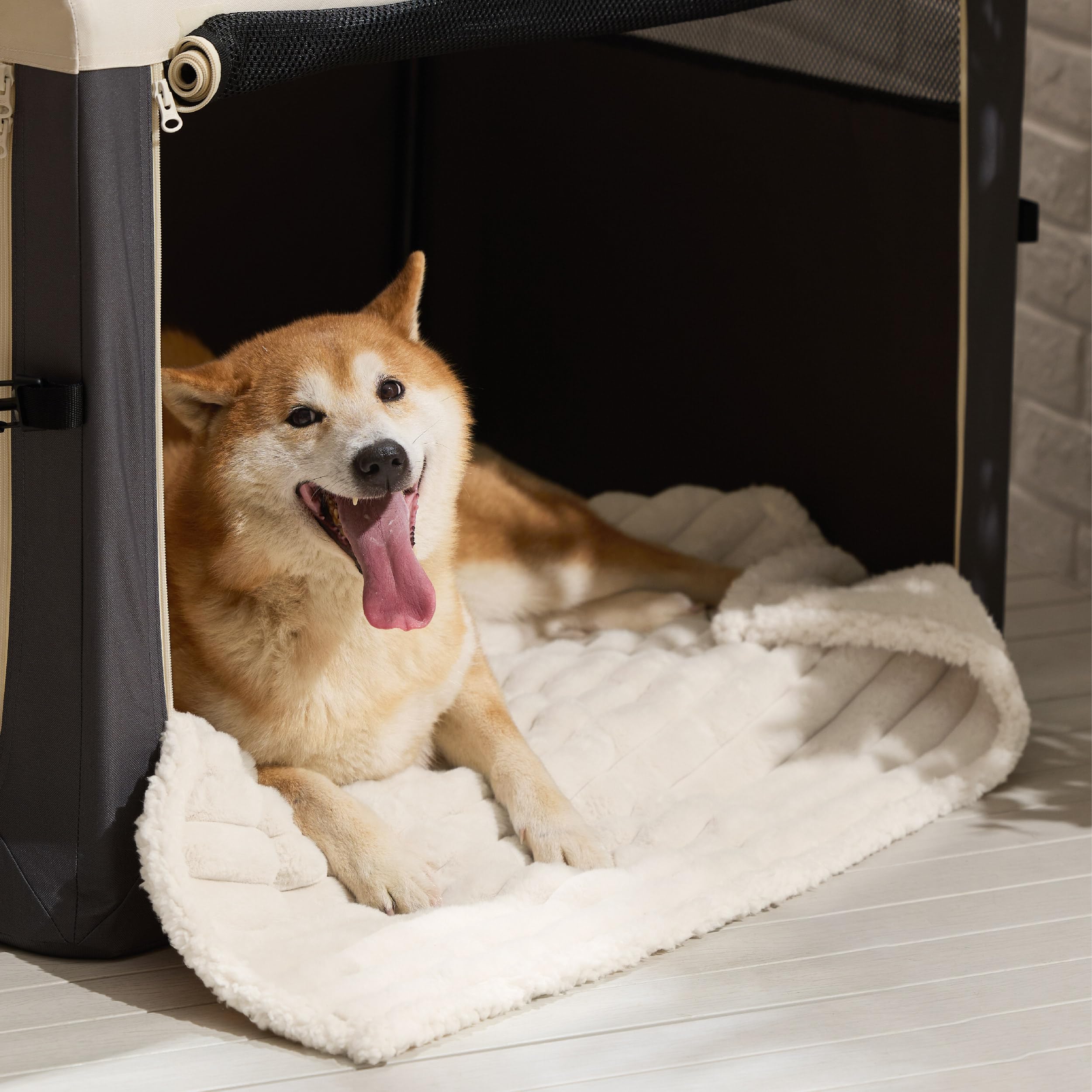 Bedsure cream blanket on a couch with a calm pet suggests a cozy inviting vibe.