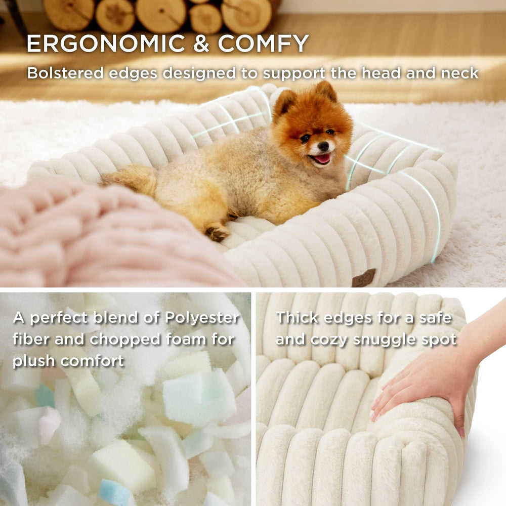 Bedsure cute dog bed medium cream top view shows full coverage for lounging