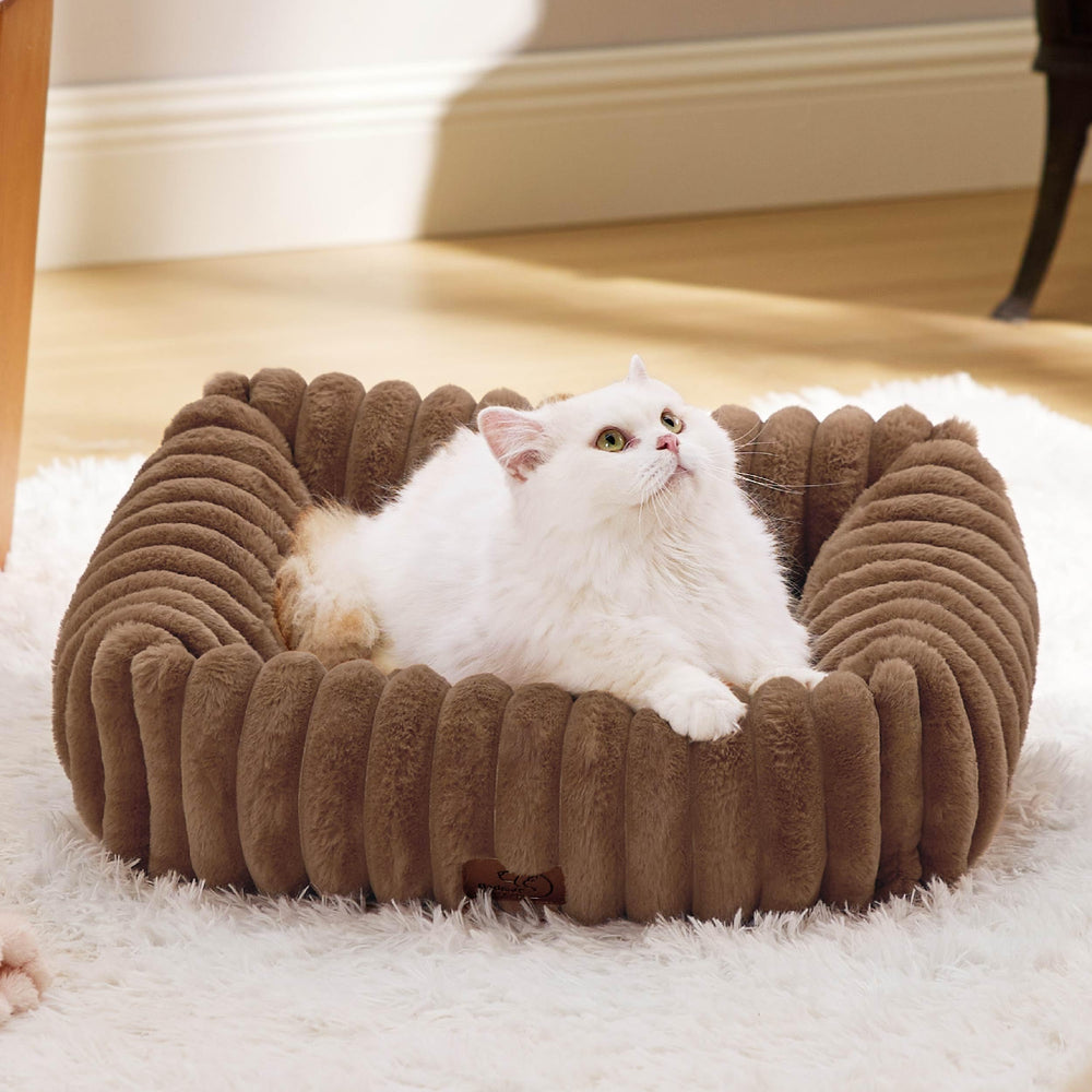 Bedsure cute dog bed small rectangular offers a cozy nap corner for tiny pets