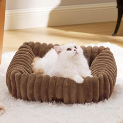 Bedsure cute dog bed small rectangular offers a cozy nap corner for tiny pets