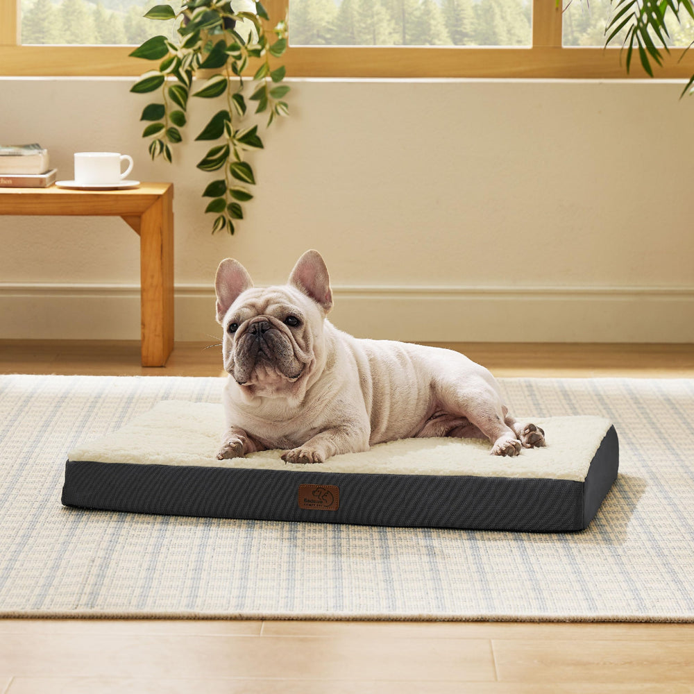 Bedsure dog bed ideal for home, travel, and outdoor adventures.