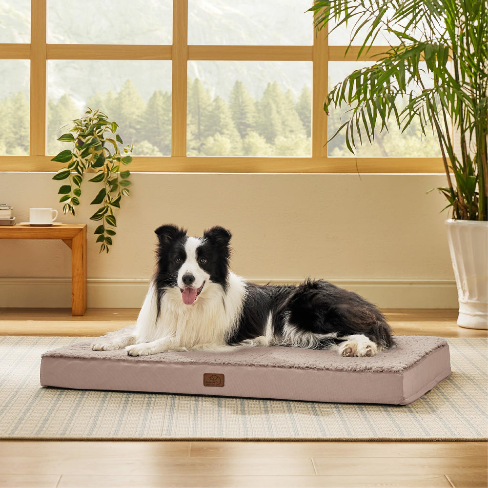 Bedsure dog bed large egg-crate-foam supports joints for restful sleep.