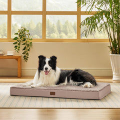 Bedsure dog bed large egg-crate-foam supports joints for restful sleep.