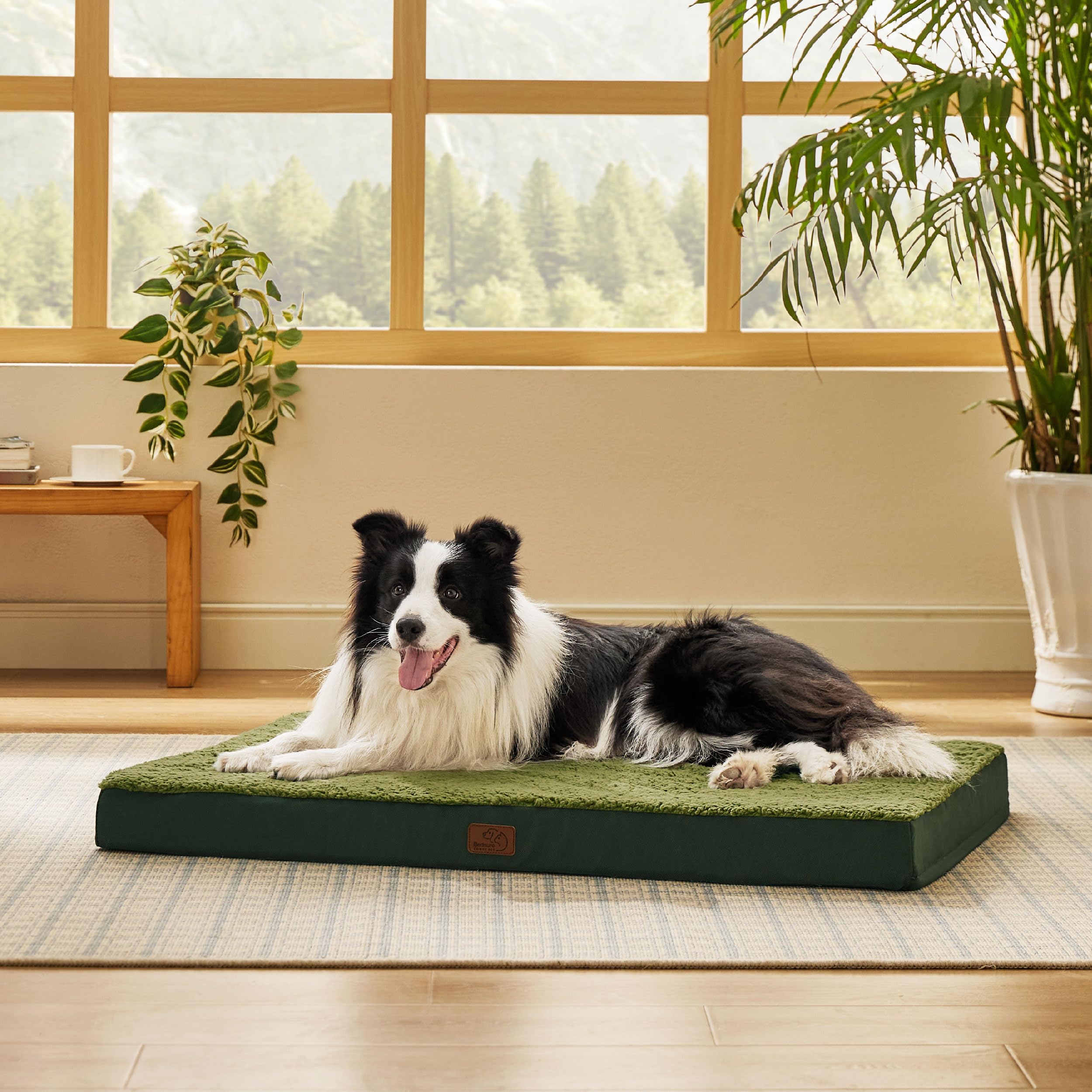 Bedsure dog bed large flat base view shows roomy space for larger dogs