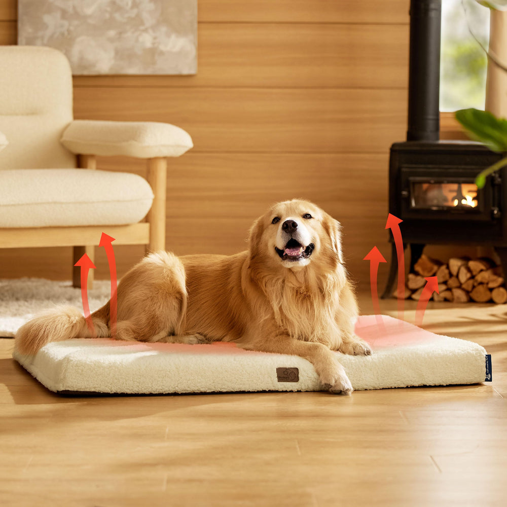 Bedsure dog bed being enjoyed by a pet during chilly evening