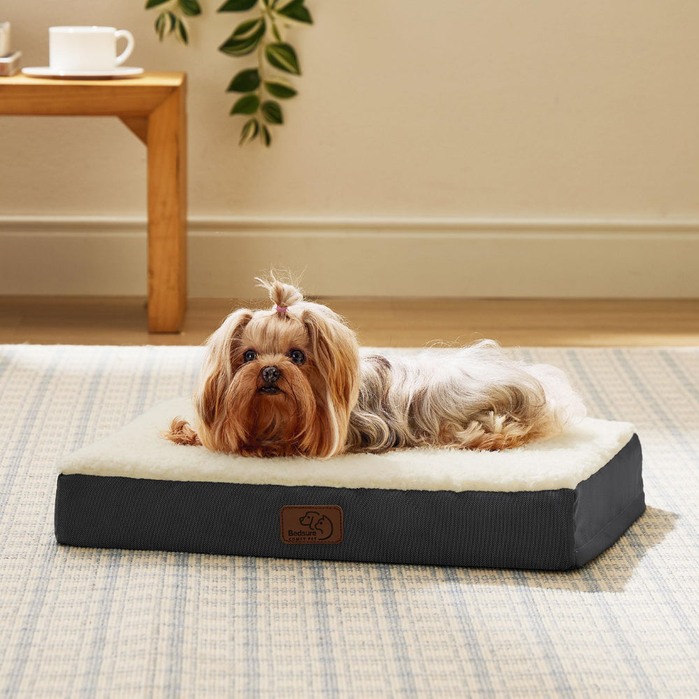 Bedsure dog bed XS premium softness enhances nap comfort