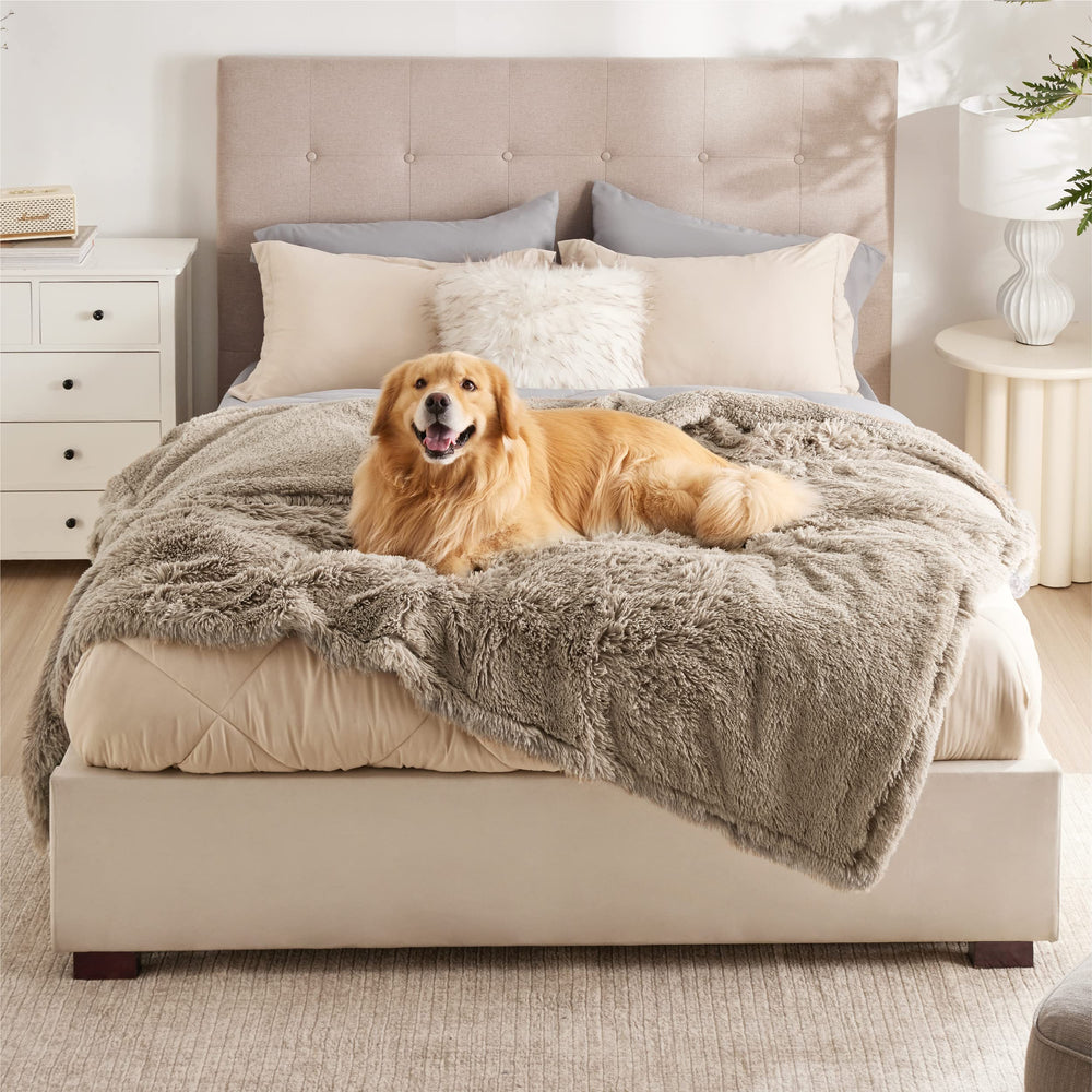 Bedsure dog blanket on sofa protects furniture from paws and shedding