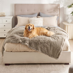 Bedsure dog blanket on sofa protects furniture from paws and shedding
