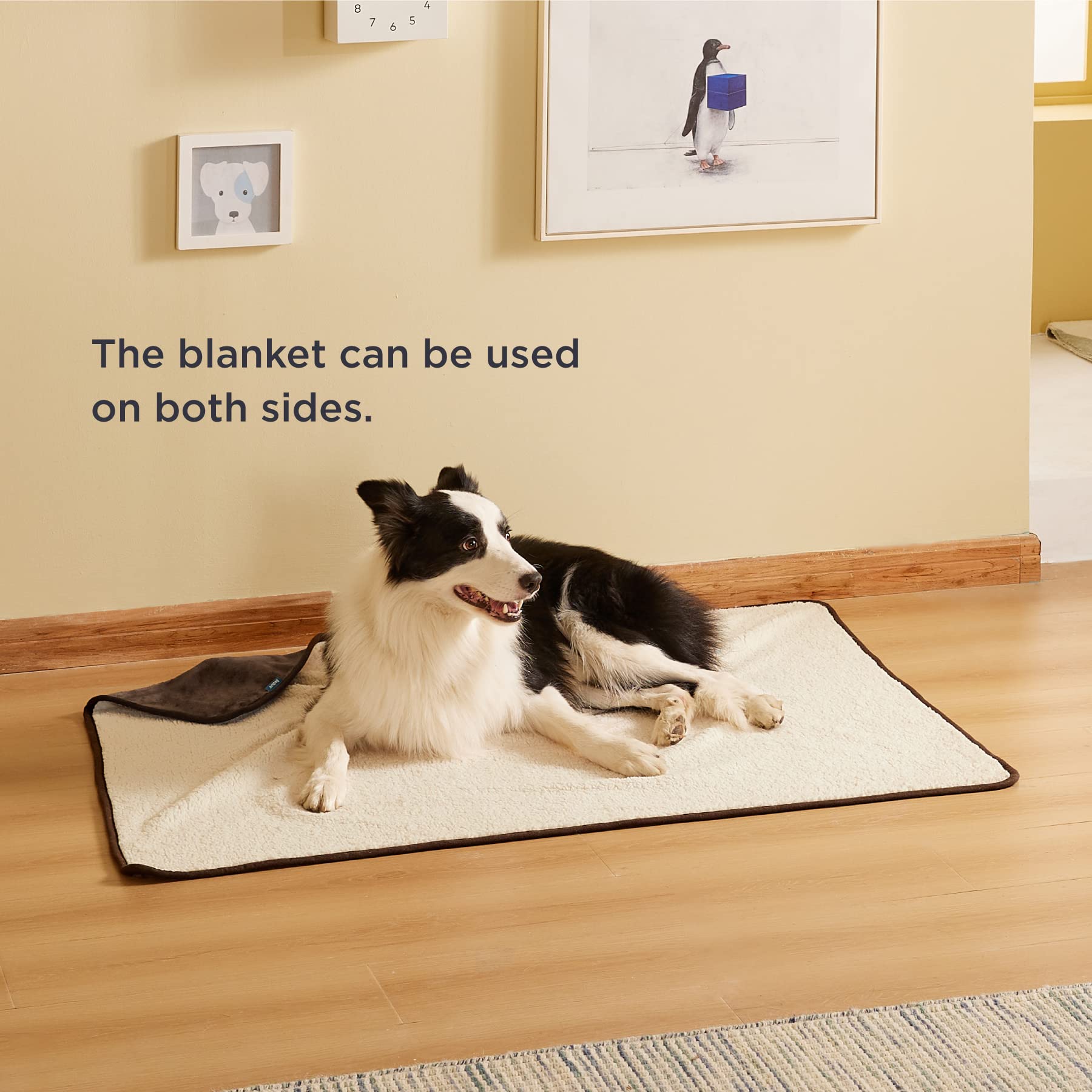 Bedsure travel-ready blanket demonstrates lightweight portability for trips and hotels.