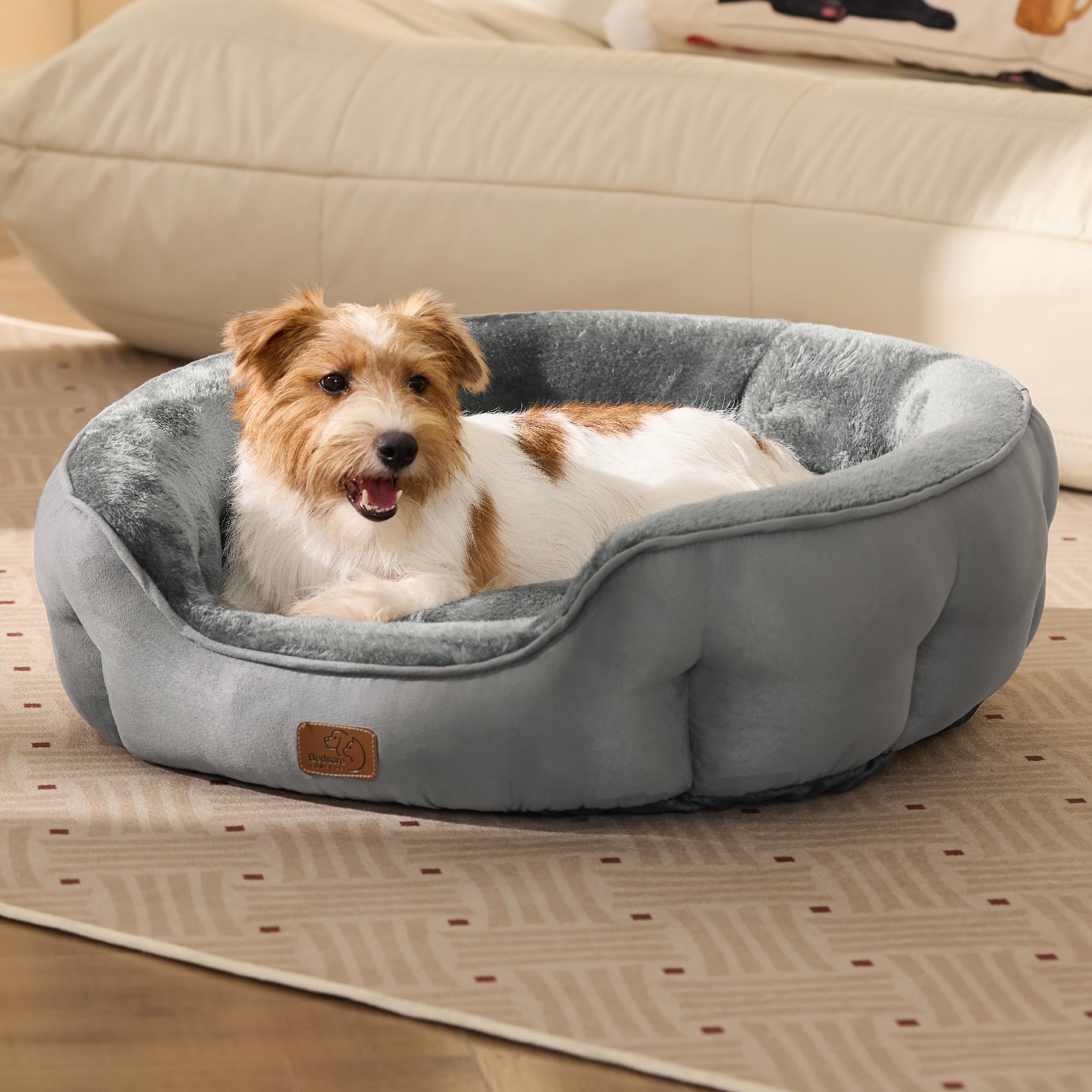 Bedsure dog-cat bed medium-usage in room offers versatile comfort for pets.