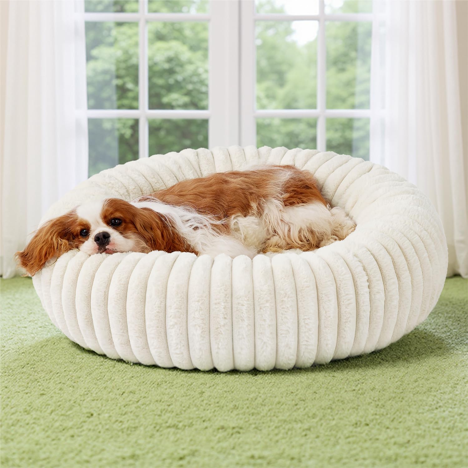 Bedsure Donut Dog Bed close-up shows foam density for joint comfort.
