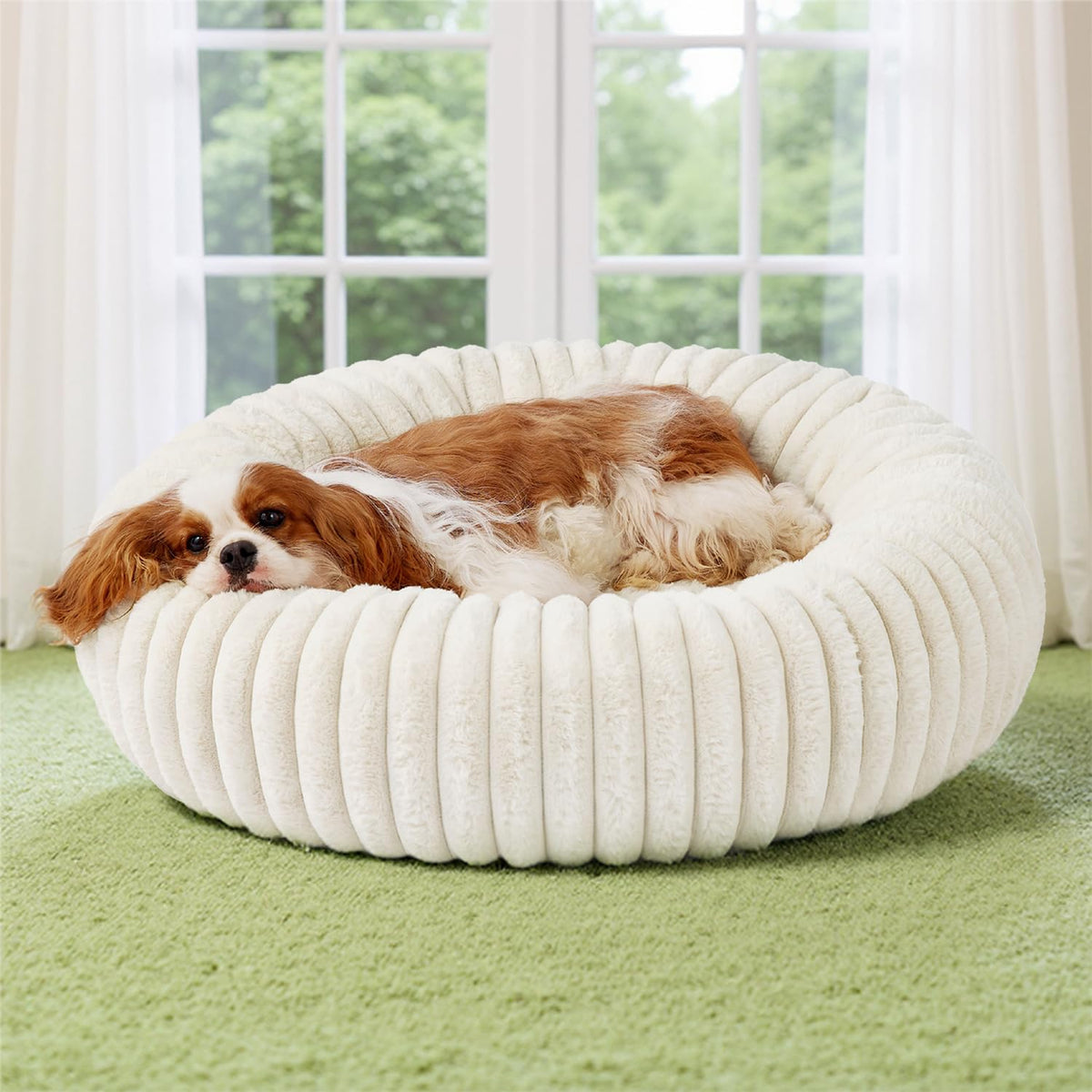 Bedsure Donut Dog Bed close-up shows foam density for joint comfort.