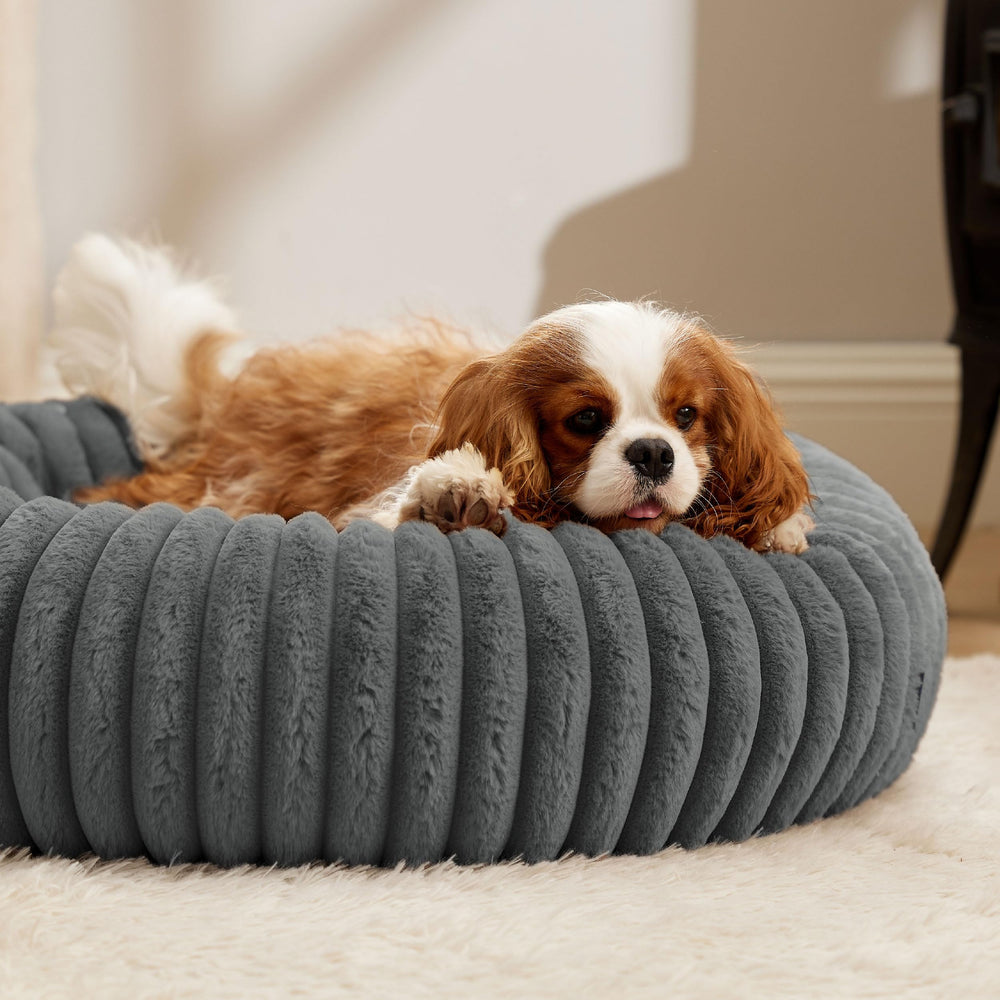 Bedsure Donut Medium Dog Bed machine washable care; easy refresh.