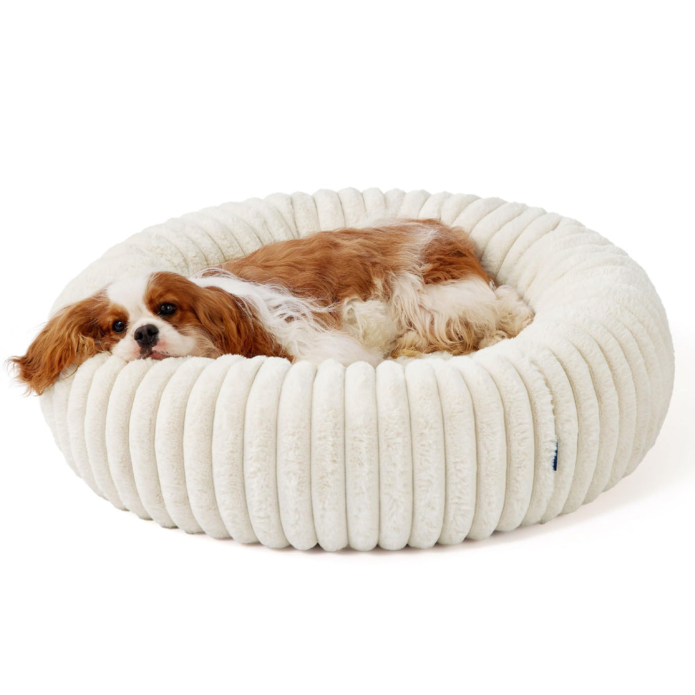 Bedsure Donut Bed sits calmly in a cozy room setup for naps.