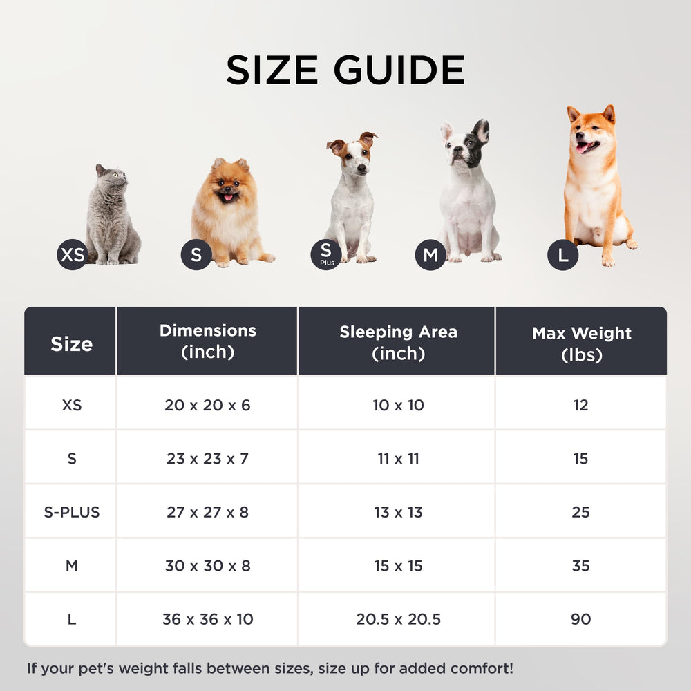 Bedsure Donut Medium Dog Bed warm grey in living room; calming style.