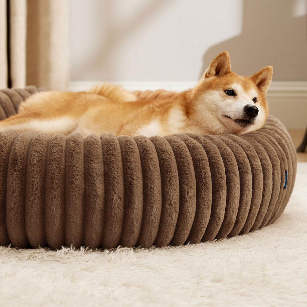 Bedsure Donut Large Dog Bed in a cozy room nook for rest