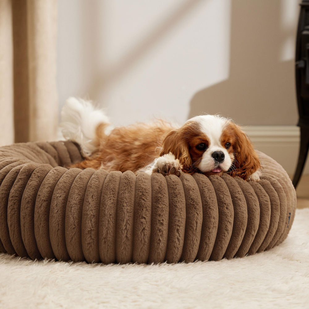Bedsure Donut Medium Dog Bed care and cleaning with machine-washable cover for easy upkeep.