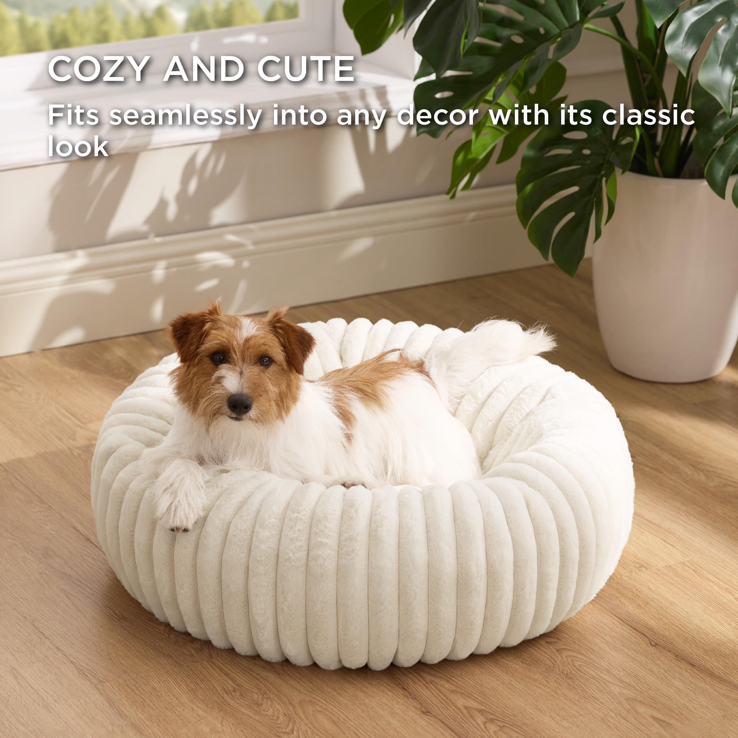 Bedsure Donut Small Dog Bed cream, anti-slip bottom for stable lounging