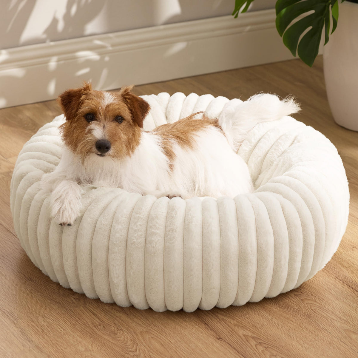 Bedsure Donut Small Dog Bed cream, side view showing plush comfort and support