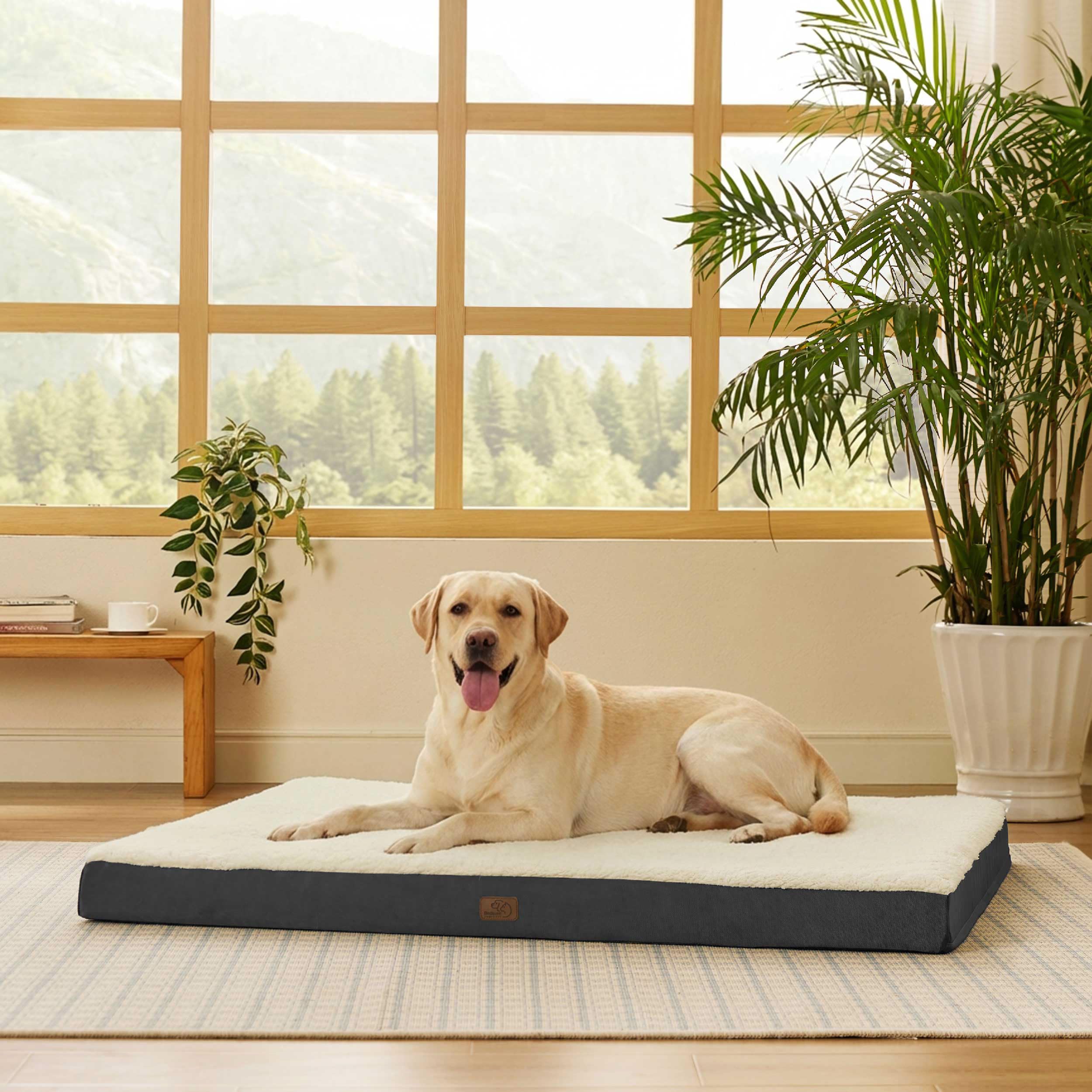 Bedsure giant dog bed 53x36 flat design gives jumbo dogs space to stretch comfortably.