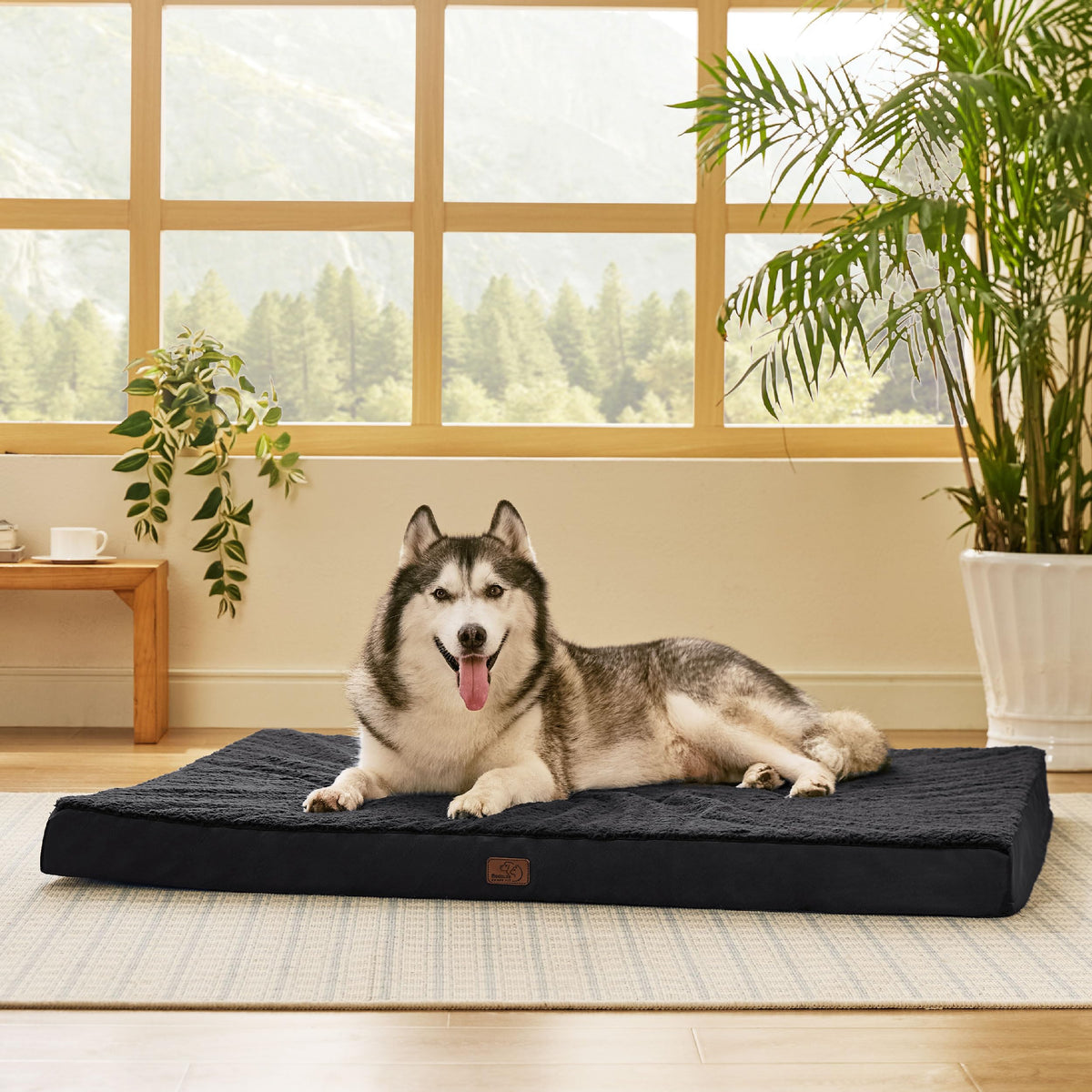 Bedsure Giant Dog Bed shows the 54x44 foam base supporting jumbo dogs comfortably.