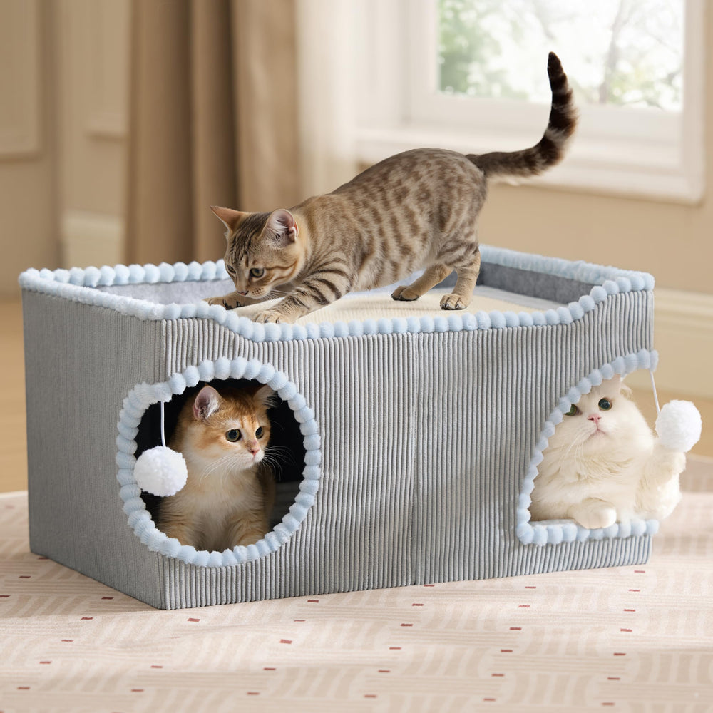 Bedsure large cat bed grey entryway perch encourages playful observation