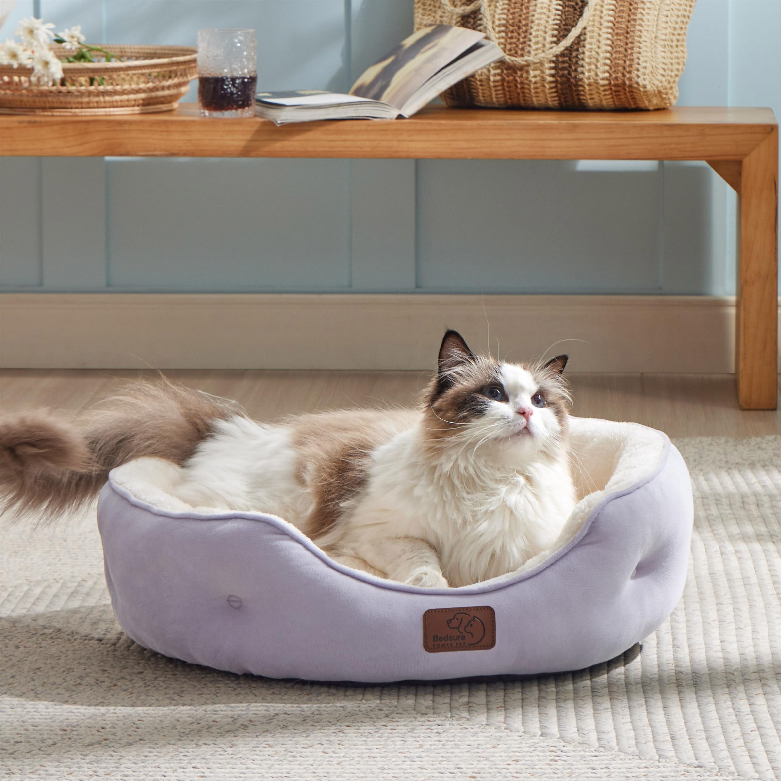 Bedsure Misty Lilac bed in use with small dog and kitten for cozy rest