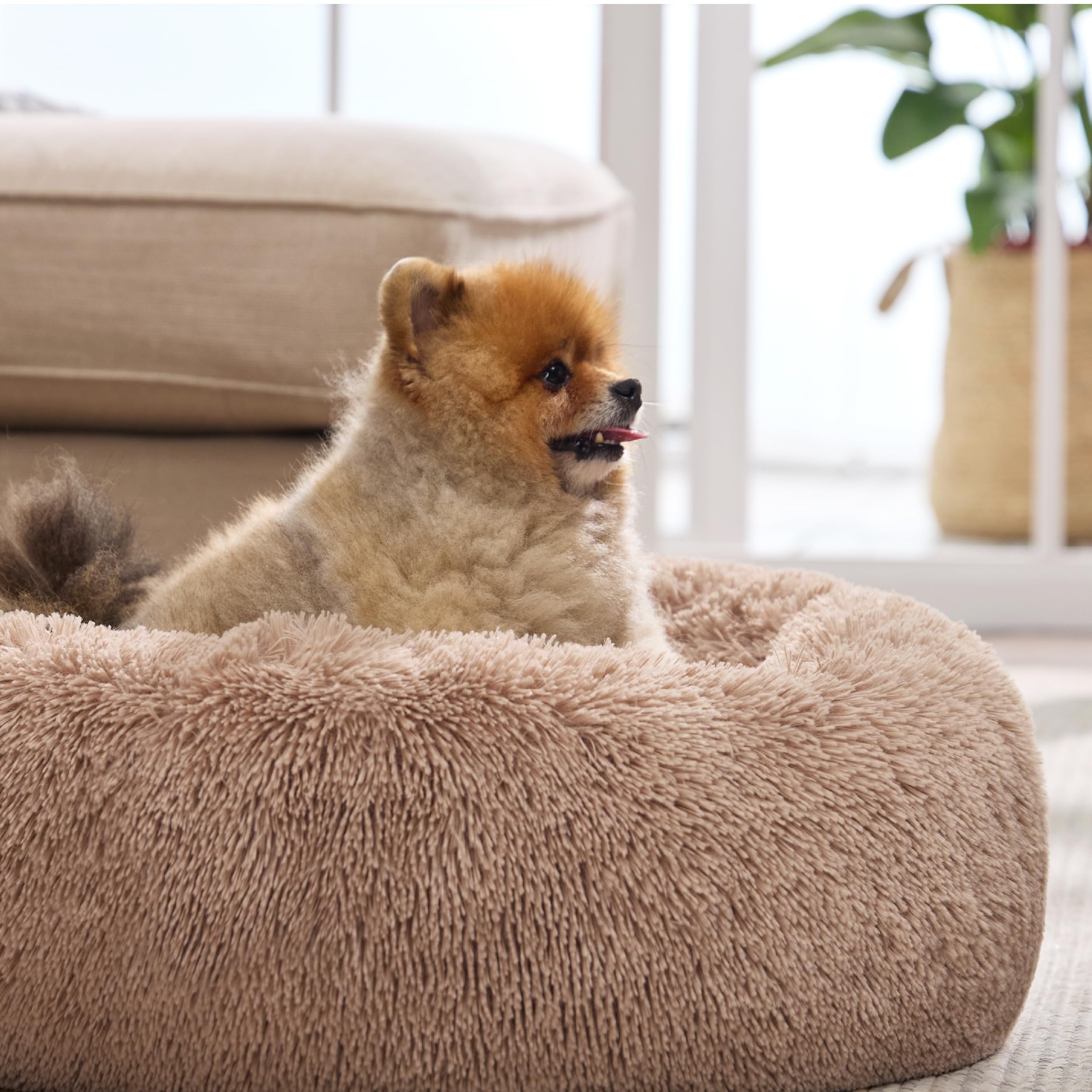 Bedsure neutral color donut bed blends with home decor while keeping pet resting cozy.