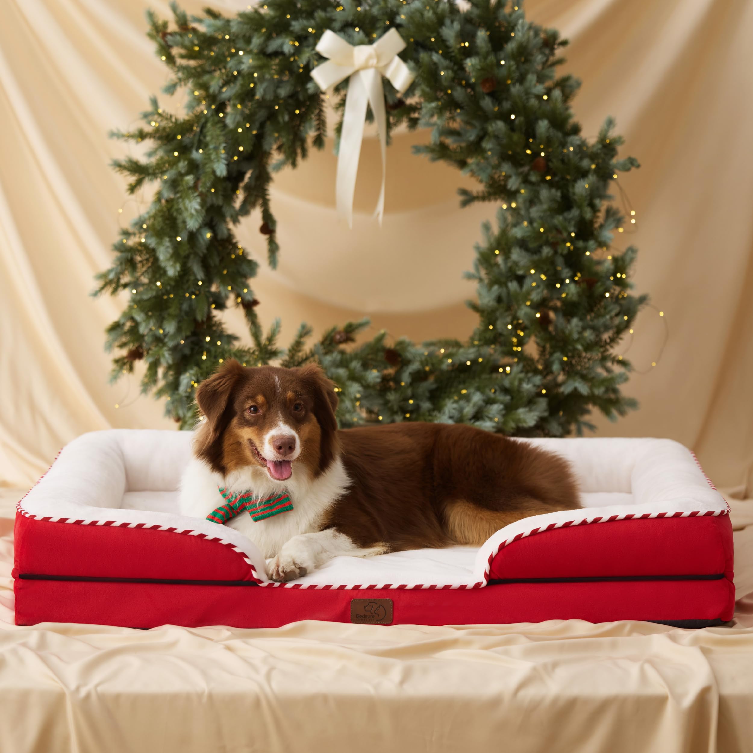 Bedsure orthopedic dog bed dog in bed illustrating restful lounging