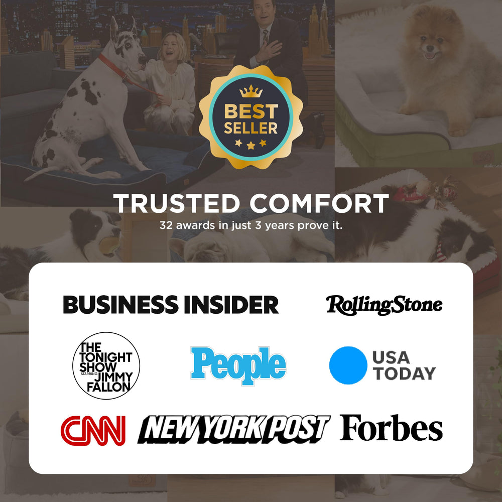 Bedsure orthopedic dog bed foam closeup highlights high-density foam support.