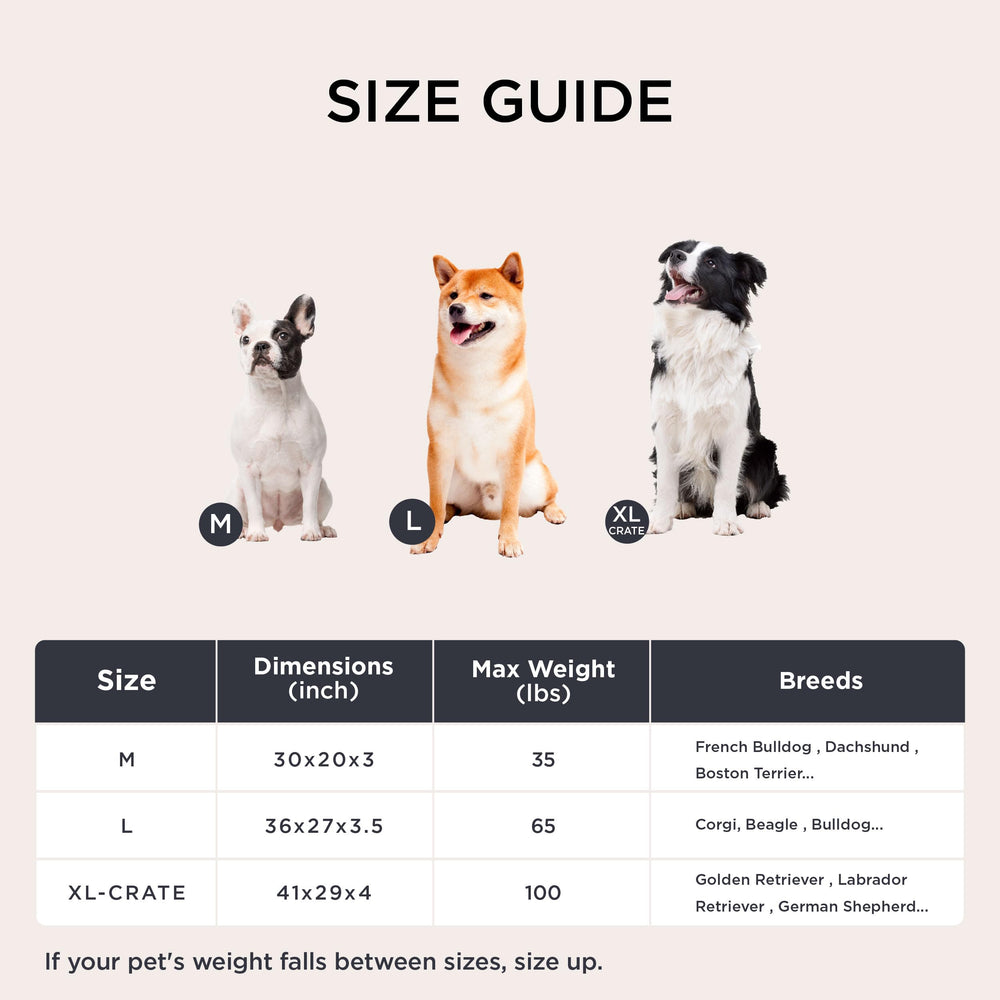 Bedsure foam sleeves orientation guides proper orthopedic support in each size