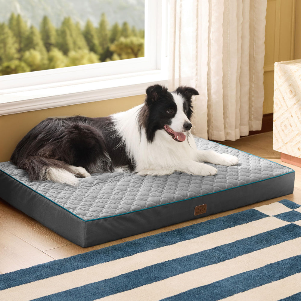 Bedsure grey orthopedic bed blends with decor and suits medium to large dogs