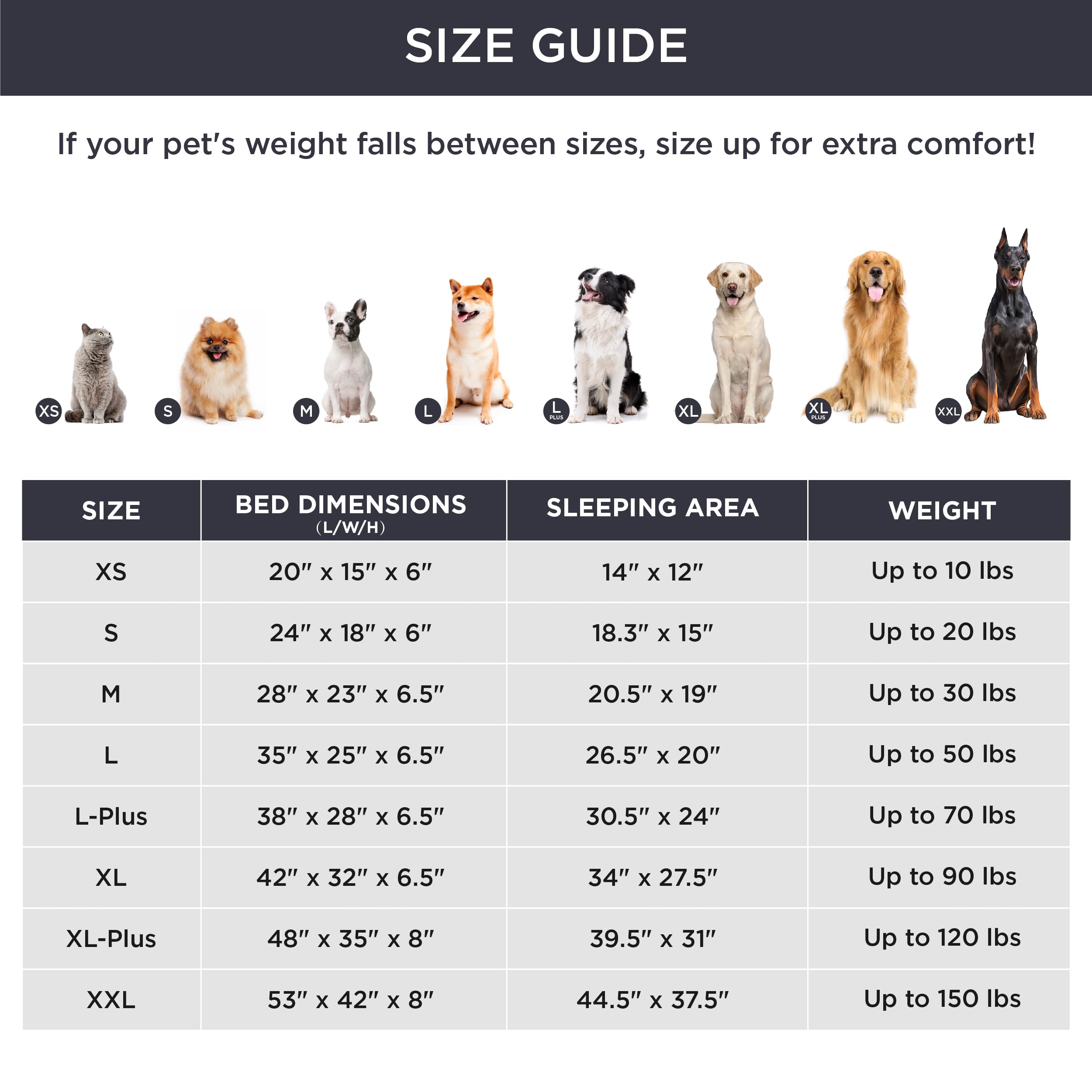 Bedsure orthopedic dog bed large 35 cushioned head and neck support visible on bolster